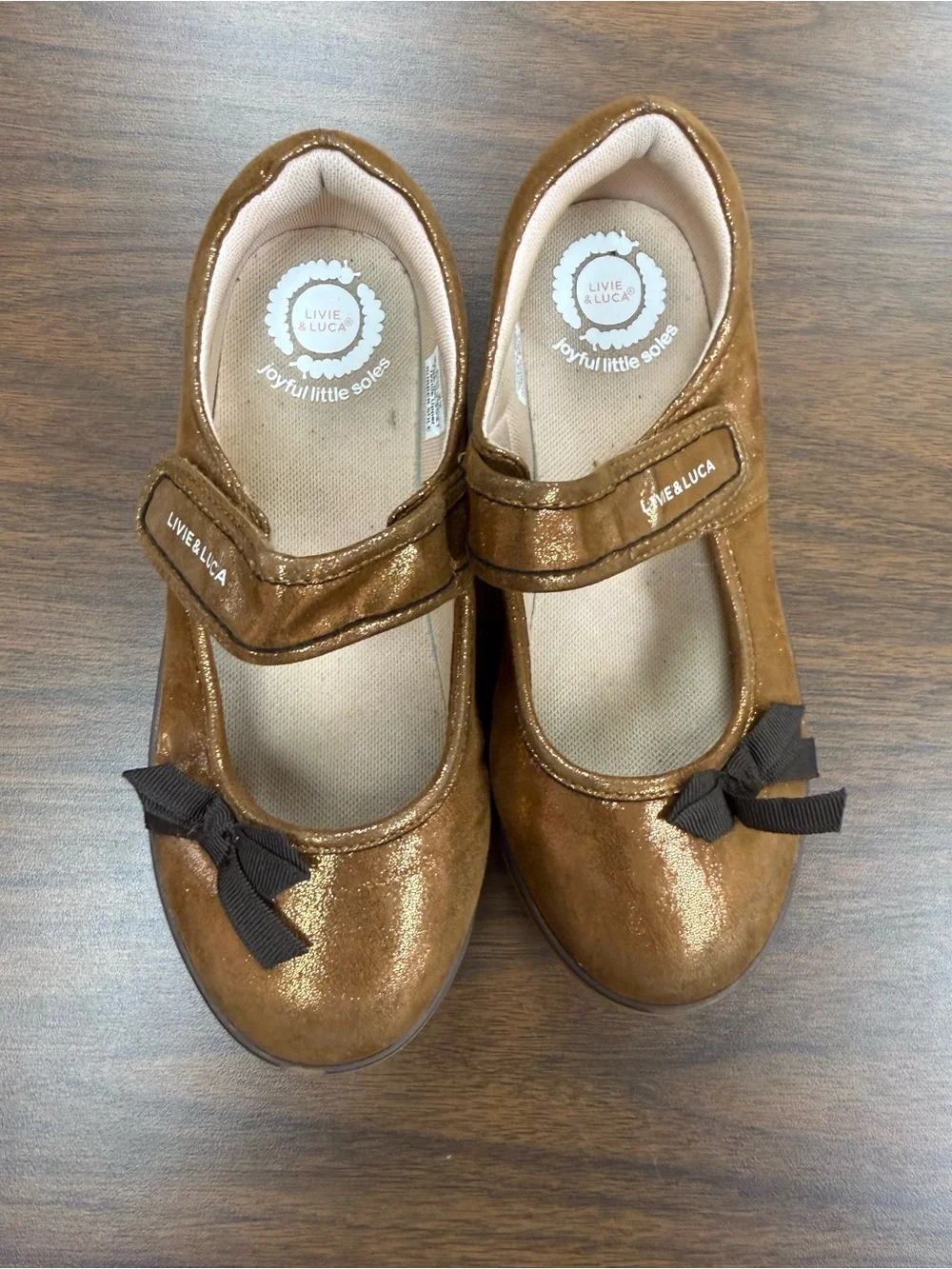 Livie & Luca Cinnamon Shimmer River Eco Mary Jane Shoes Size 2Y EUC